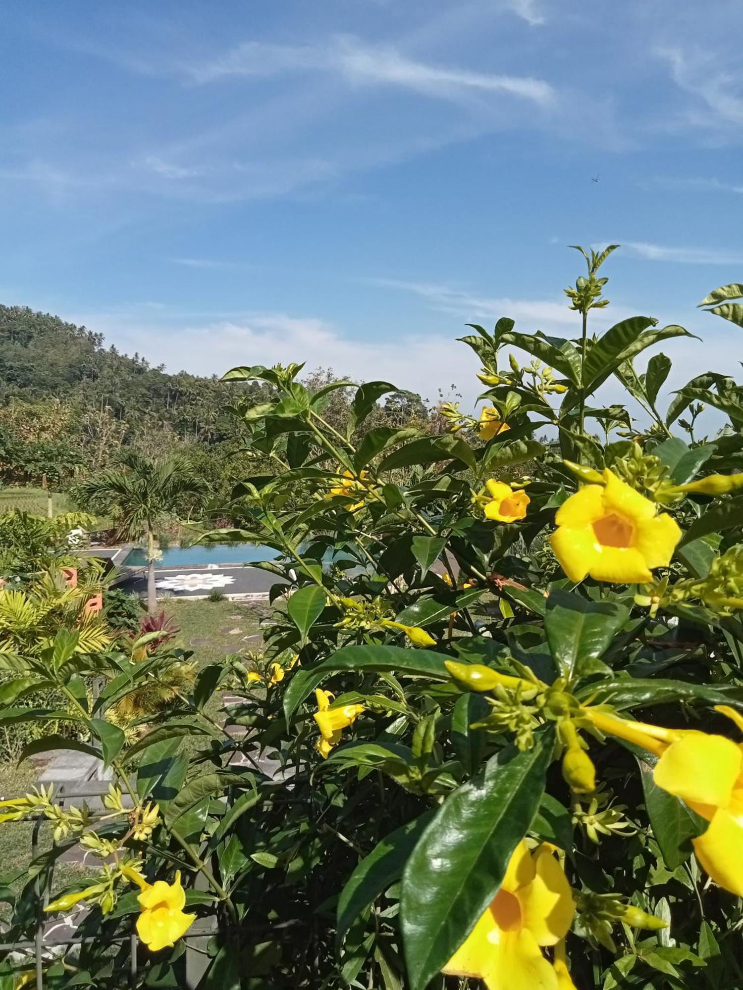 Villa Markisa Pakisan Sawan Ngoại thất bức ảnh