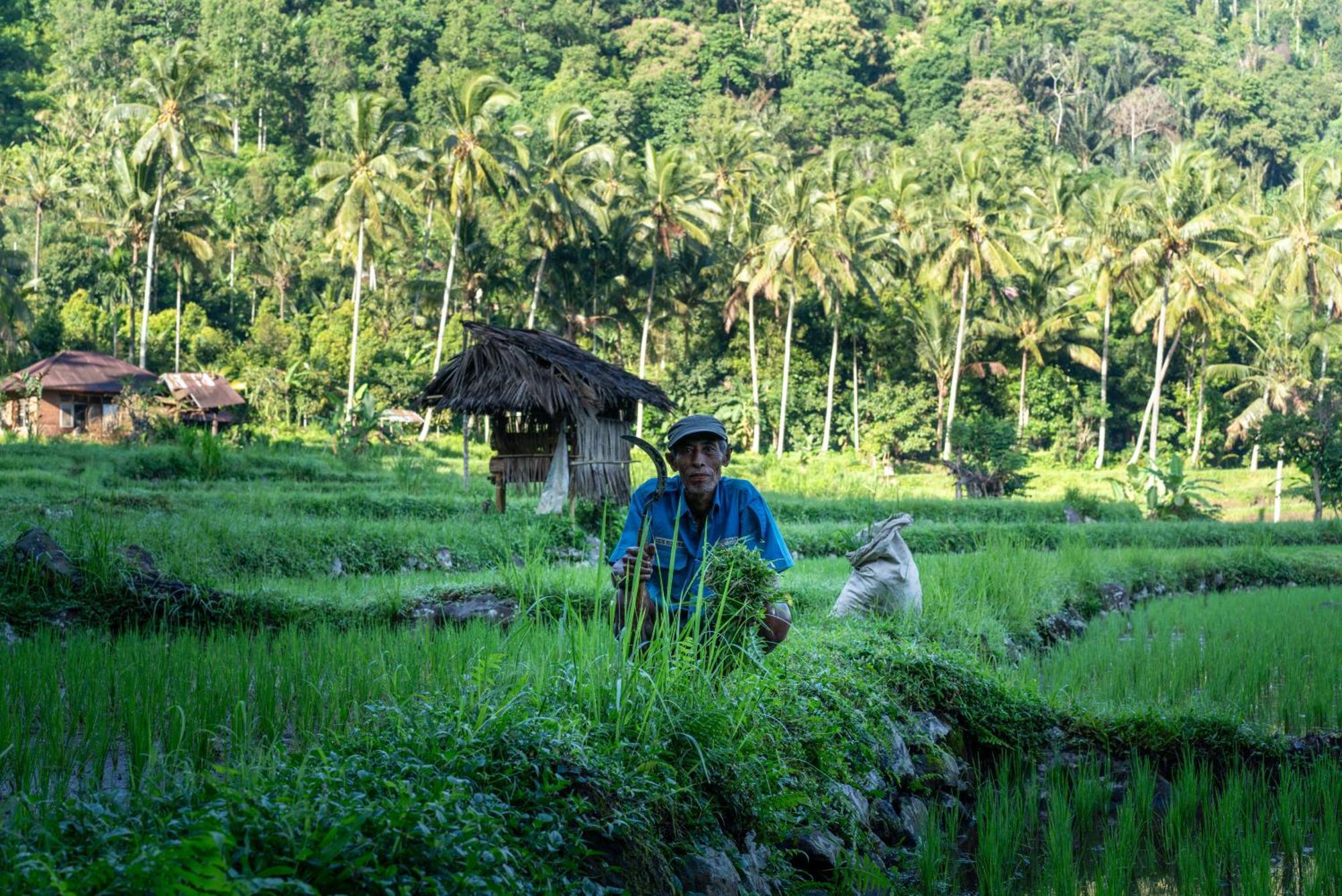 Villa Markisa Pakisan Sawan Ngoại thất bức ảnh