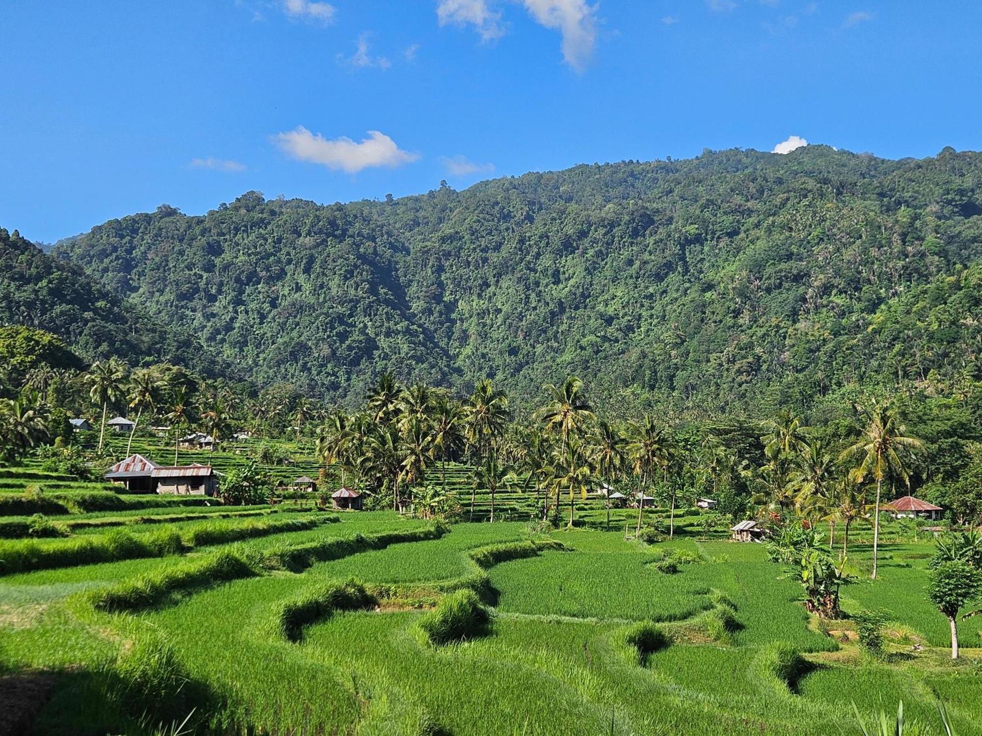 Villa Markisa Pakisan Sawan Ngoại thất bức ảnh