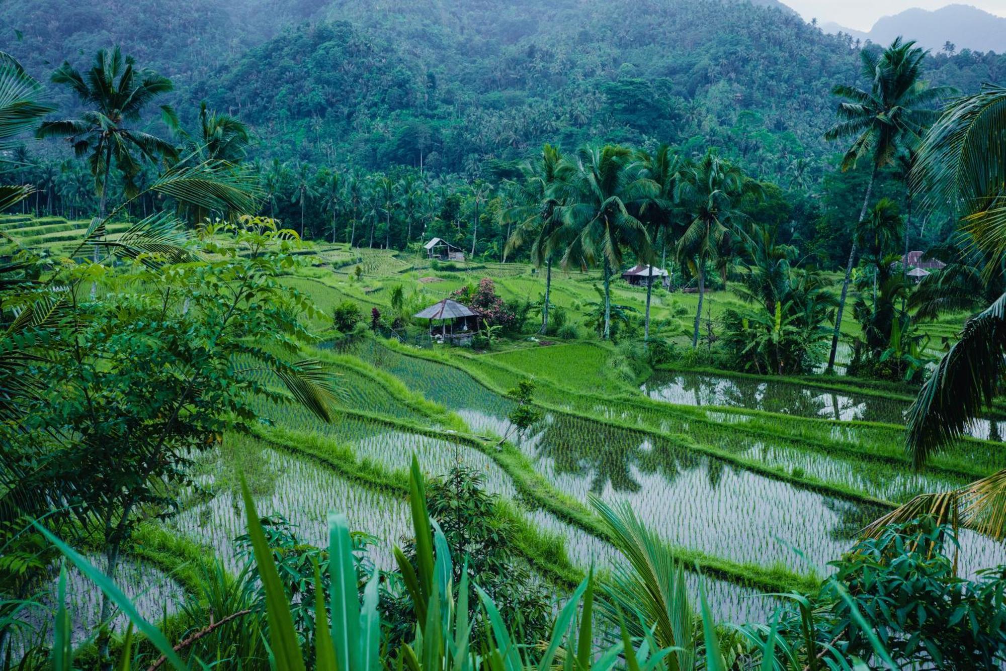 Villa Markisa Pakisan Sawan Ngoại thất bức ảnh
