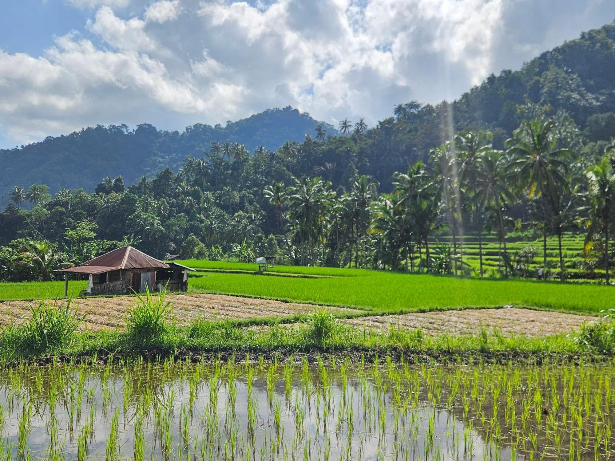 Villa Markisa Pakisan Sawan Ngoại thất bức ảnh